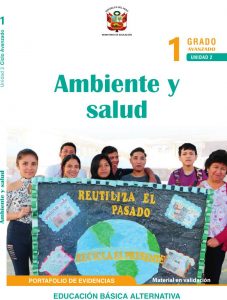 Ambiente-Salud-Unidad-2-Portafolio-1-Avanzado