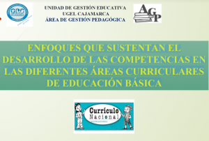 ENFOQUES QUE SUSTENTAN EL DESARROLLO DE LAS COMPETENCIAS EN LAS DIFERENTES ÁREAS CURRICULARES DE EDUCACIÓN BÁSICA