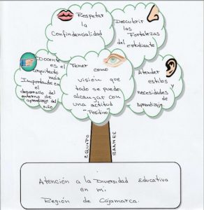 PERFIL DOCENTE SAANEE