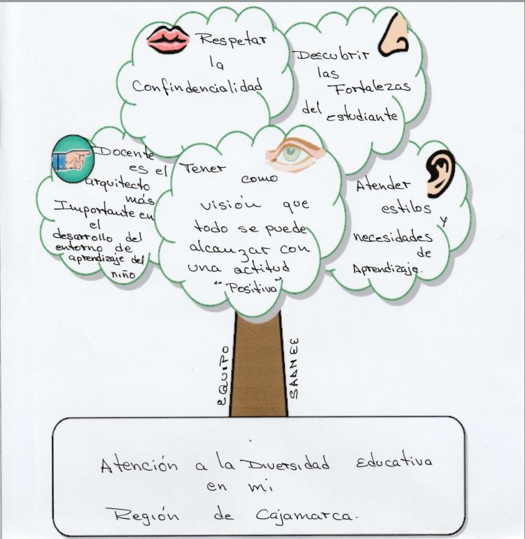 PERFIL DOCENTE SAANEE