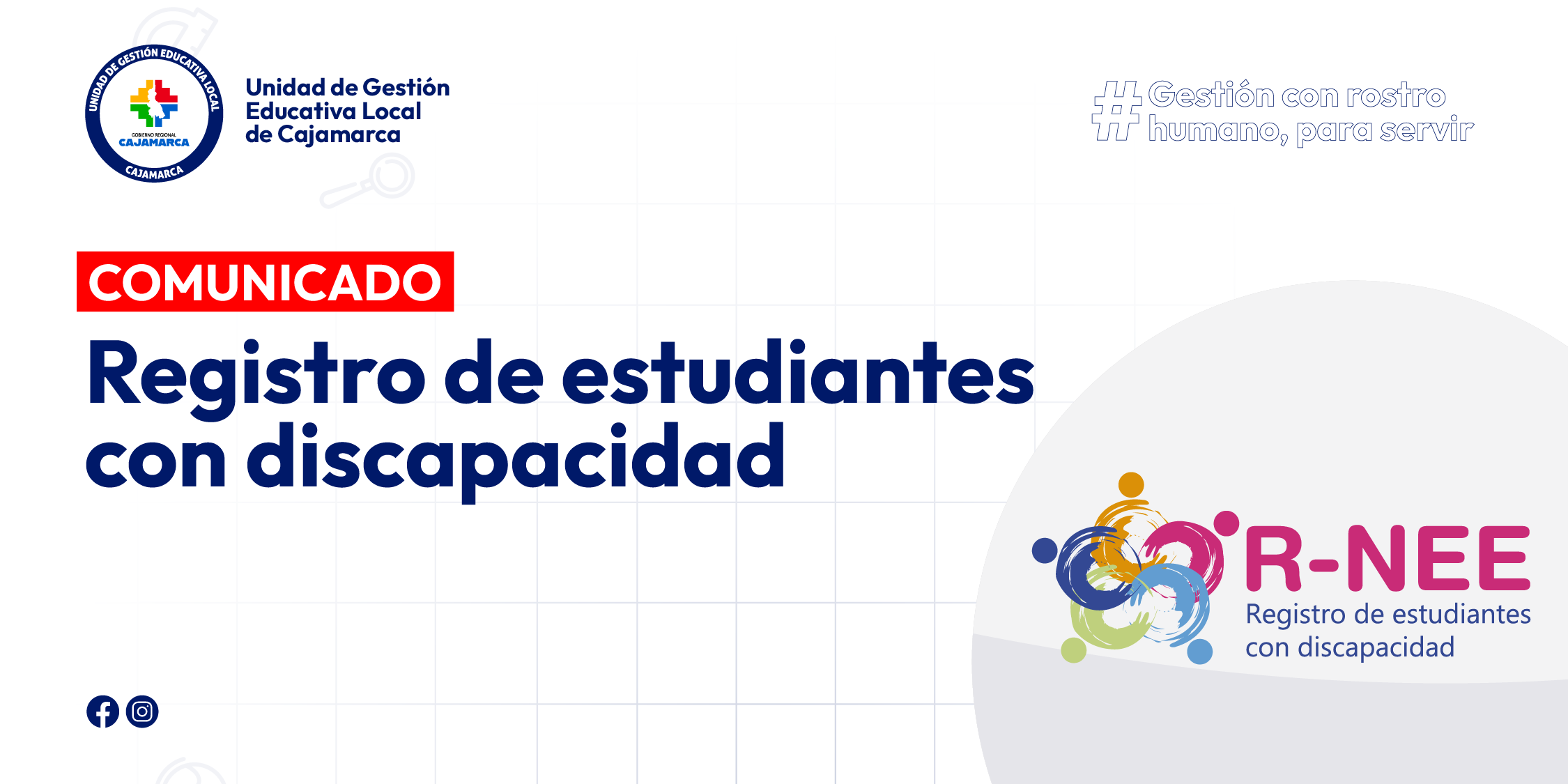 Registro de estudiantes con discapacidad (RNEE 2025)