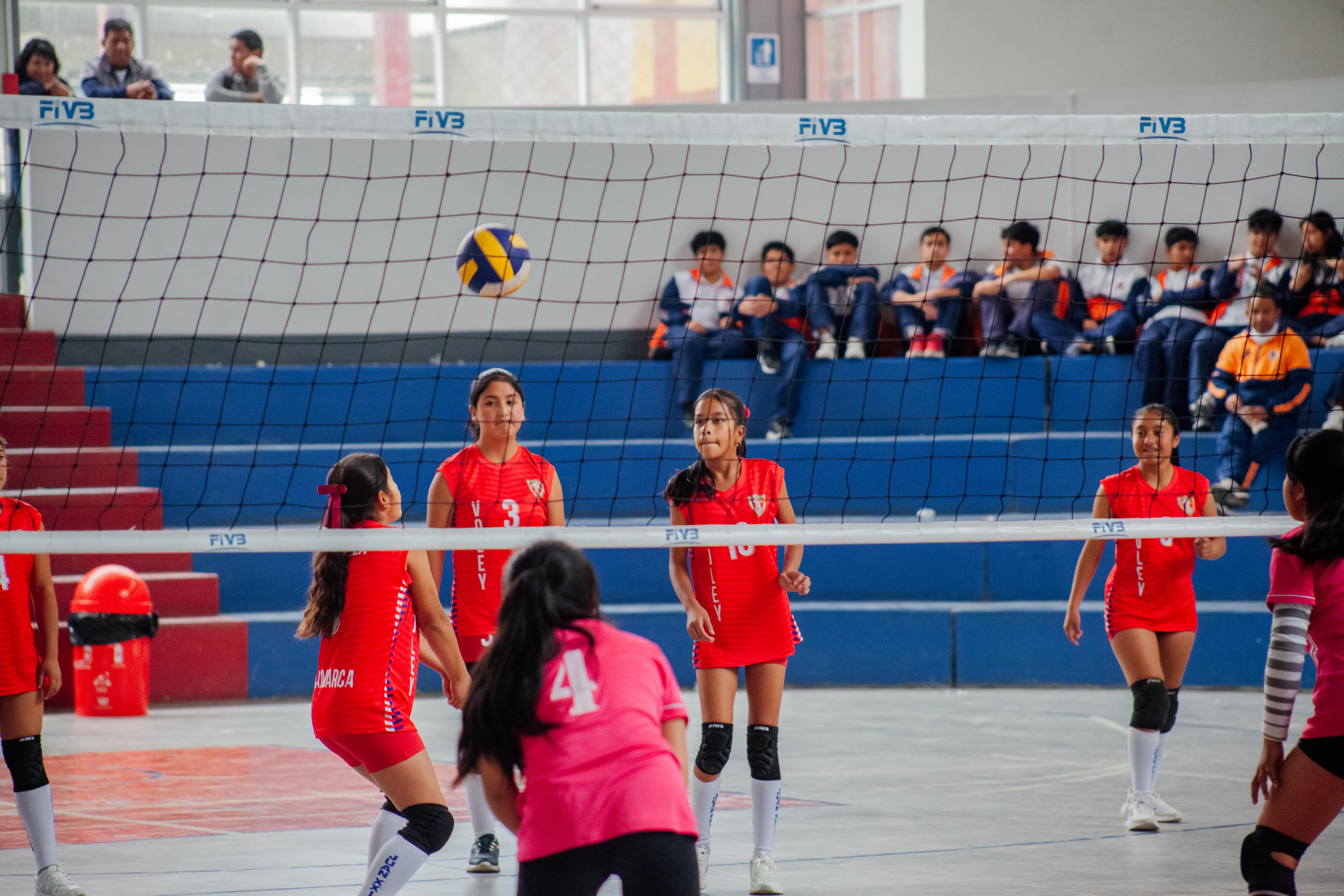 _MG_0431